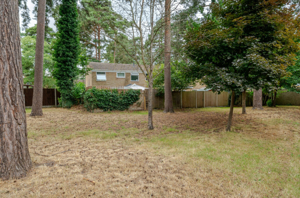 Property Image_10