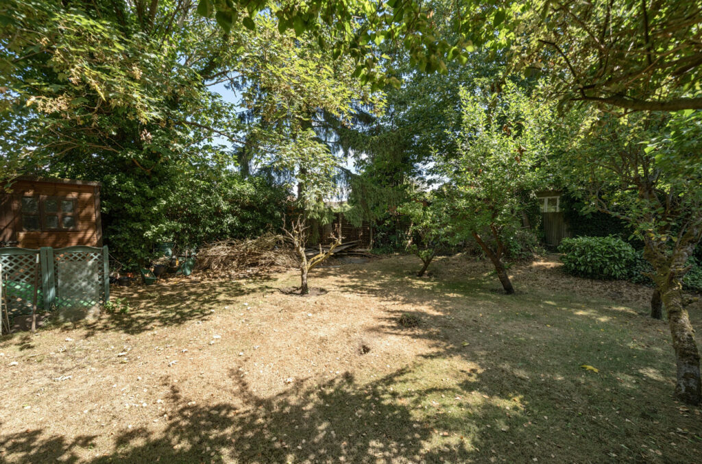 Property Image_23