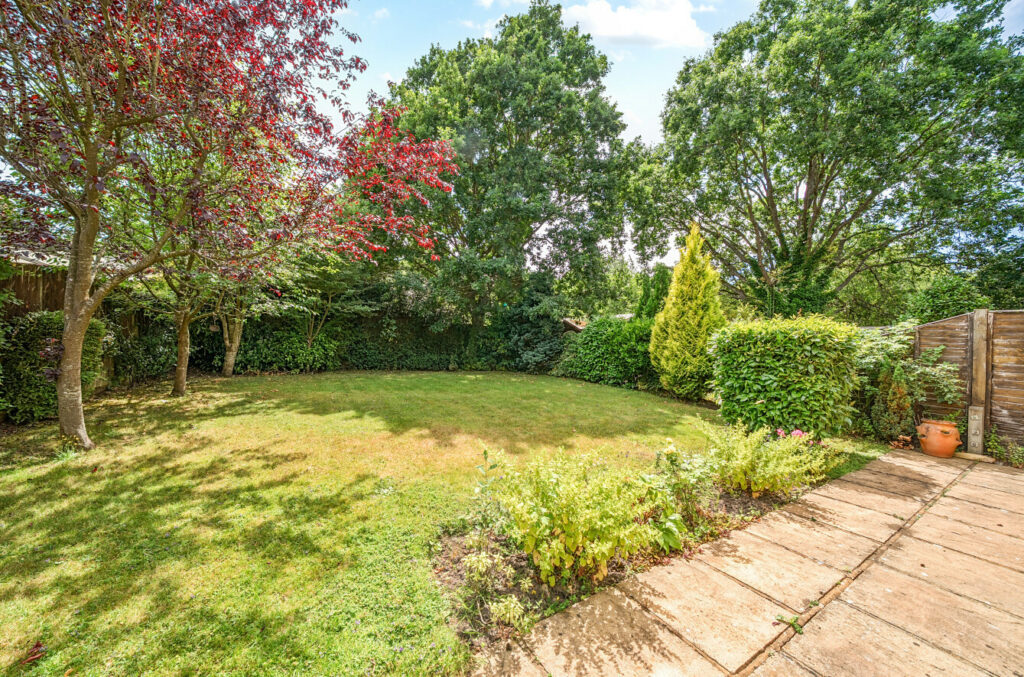 Property Image_7