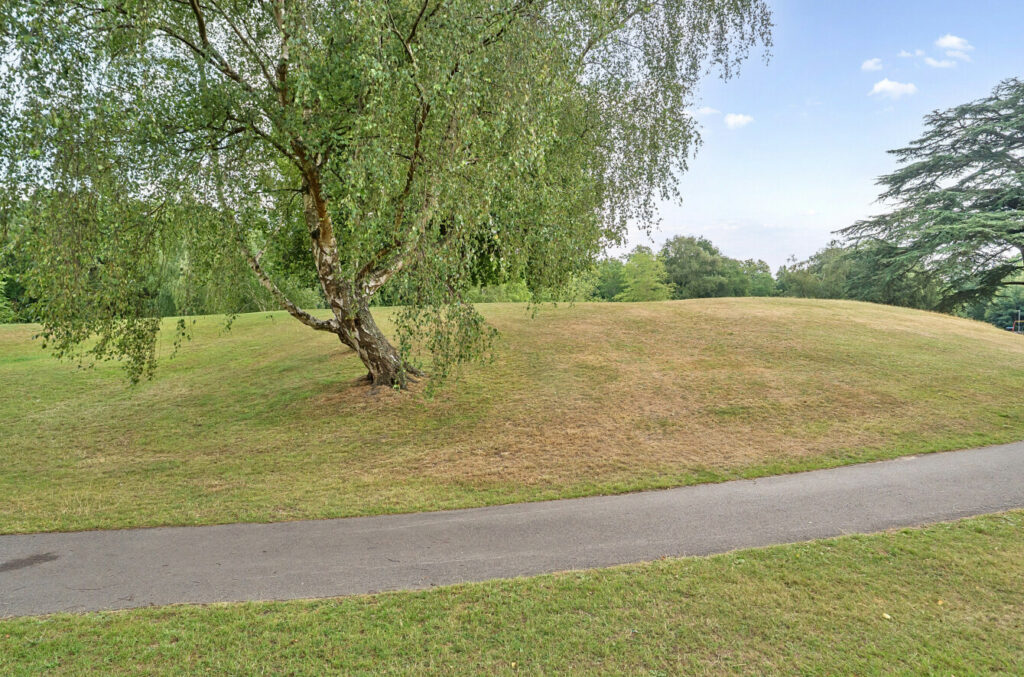 Property Image_11