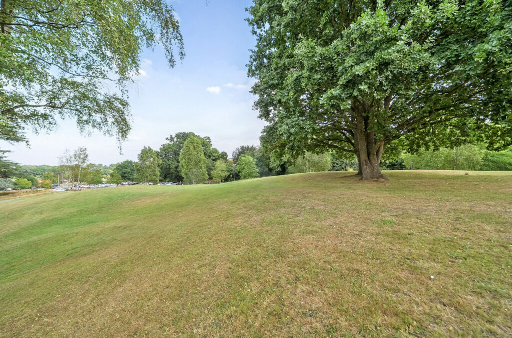 Property Image_7