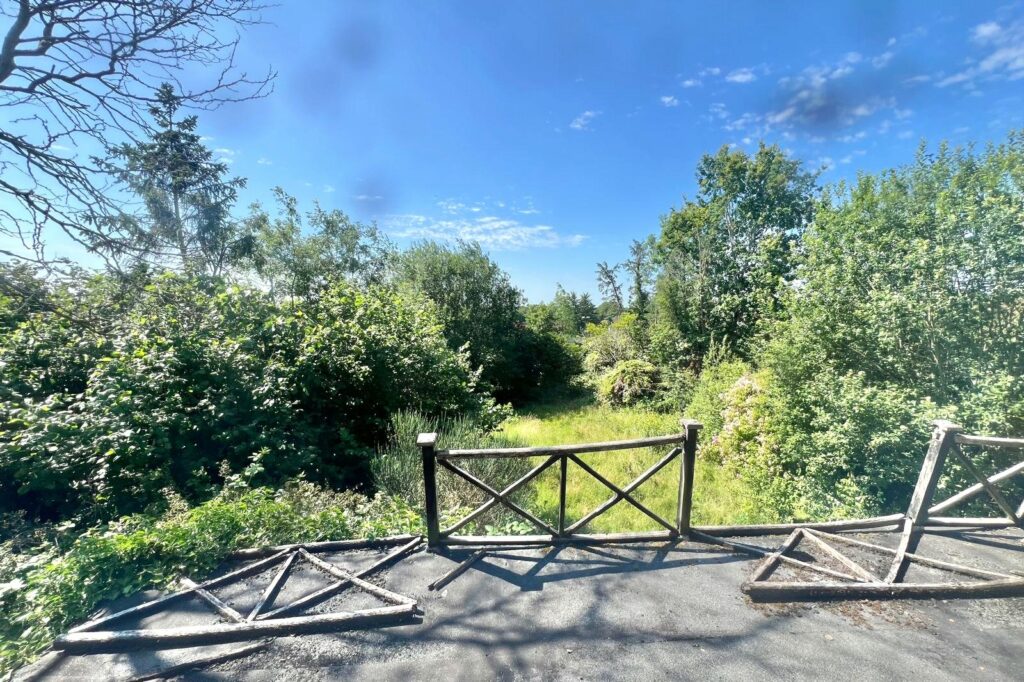 Property Image_14