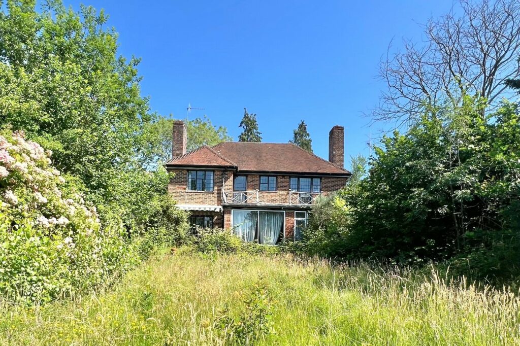 Property Image_19