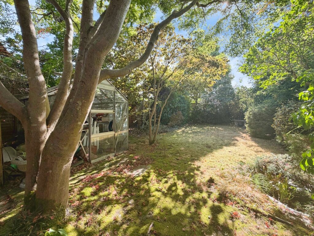 Property Image_9