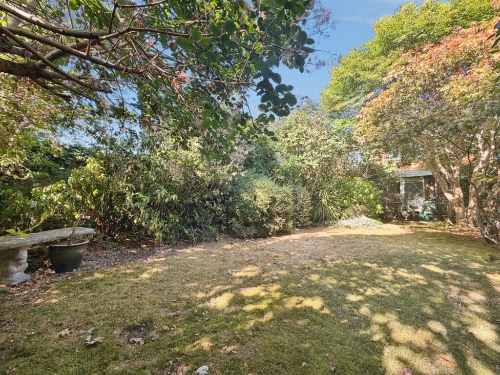 Property Image_10