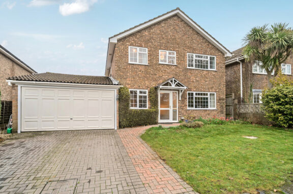 Larkspur Close Image