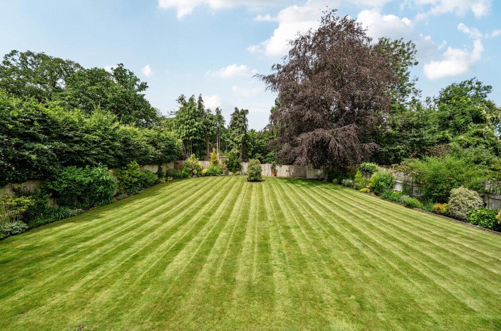 Property Image_2