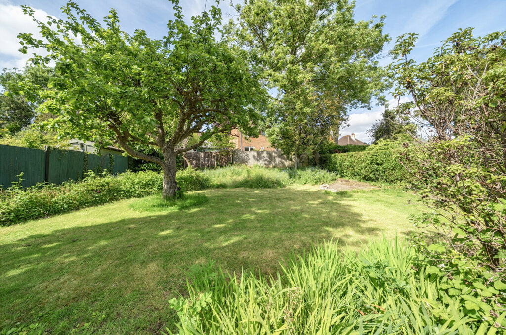 Property Image_23