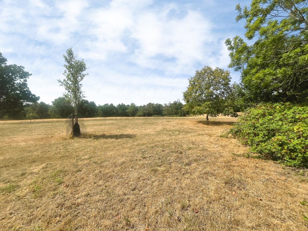 Property Image_15