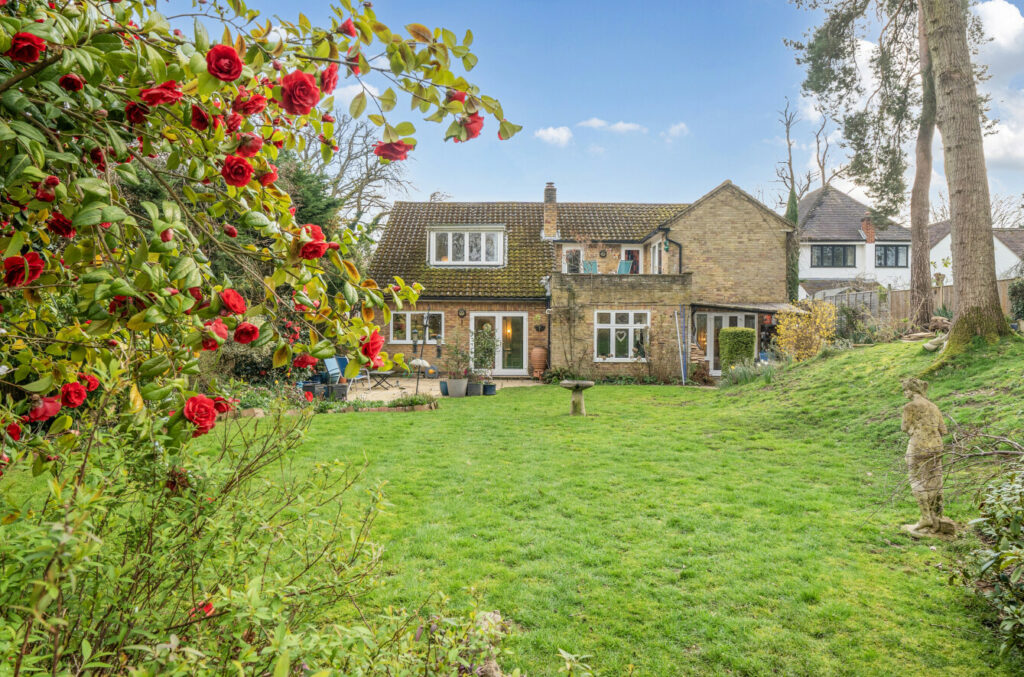 Property Image_22