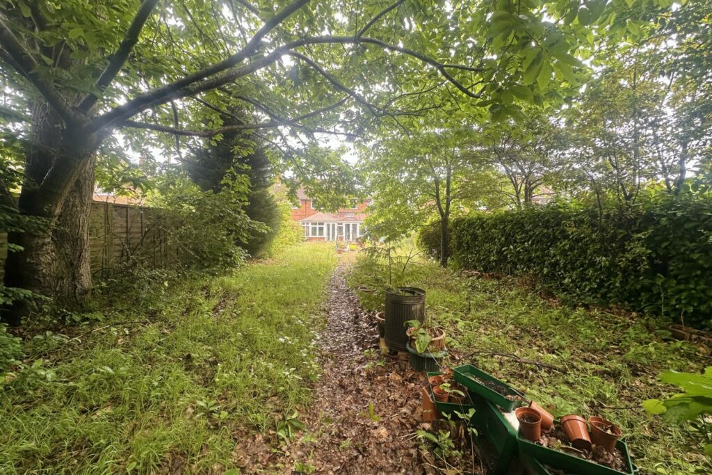 Property Image_11