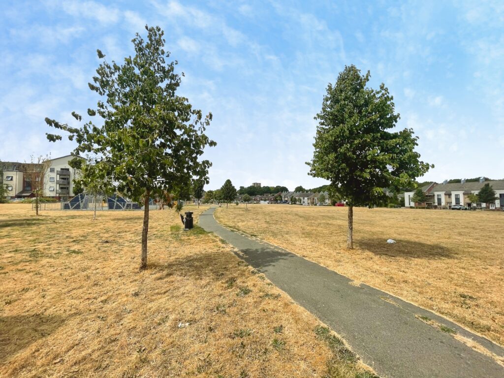 Property Image_3