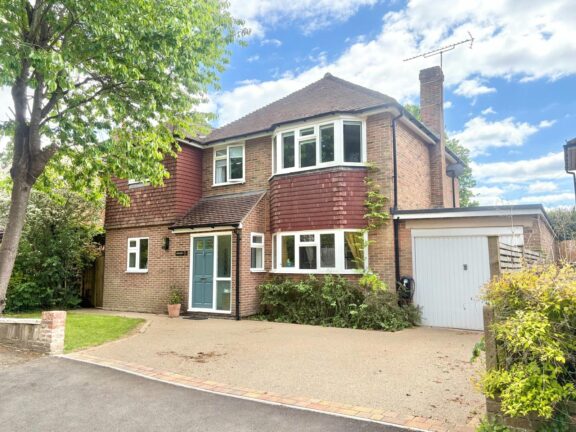 Alma Lane Image