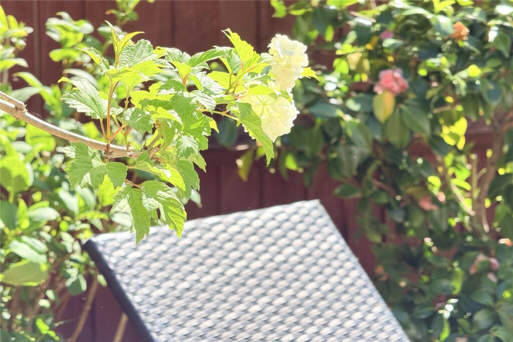 Property Image_28