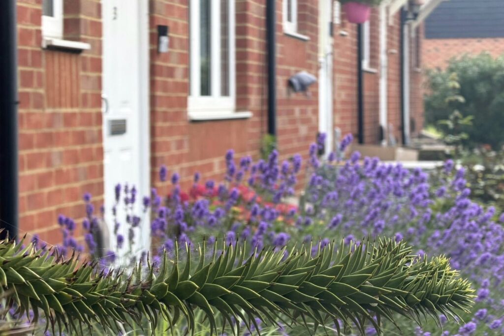 Property Image_12