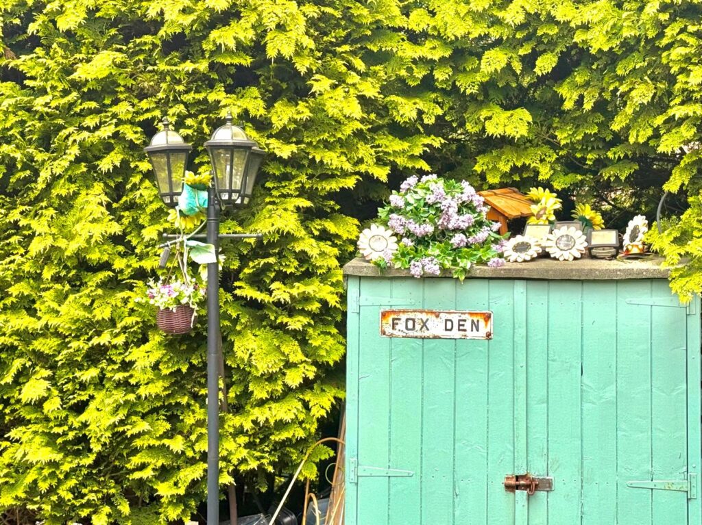 Property Image_12