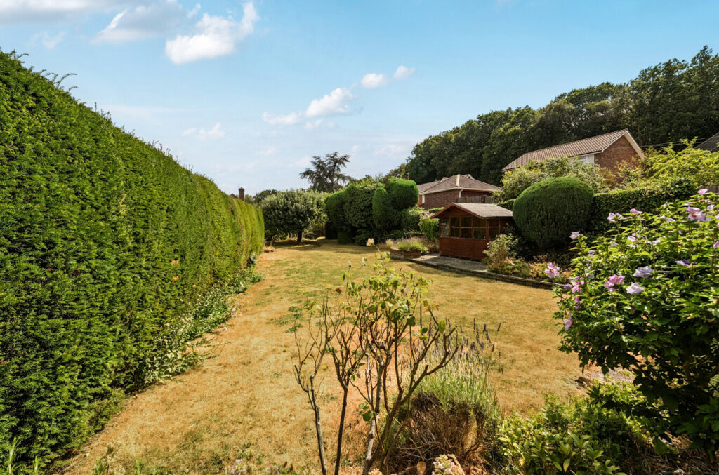 Property Image_4