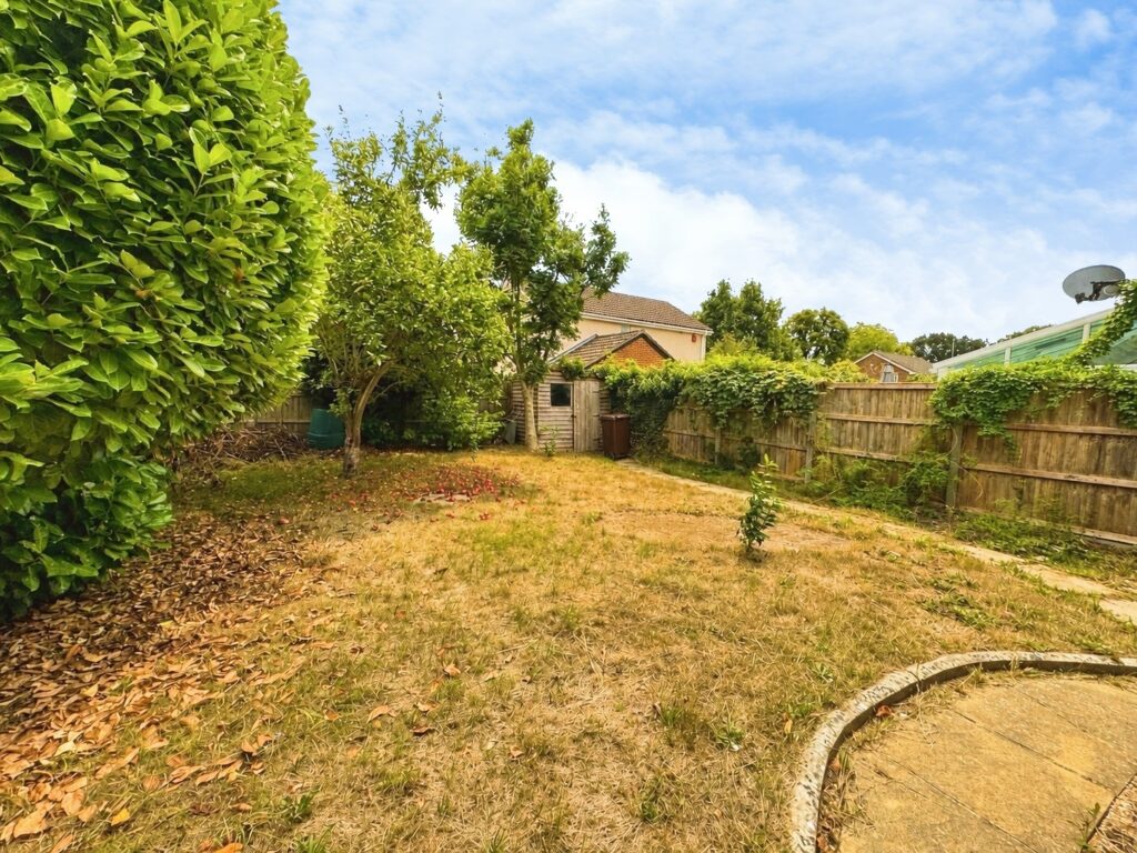 Property Image_17