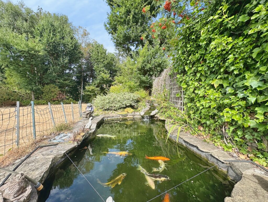 Property Image_8