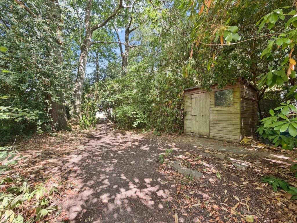 Property Image_12