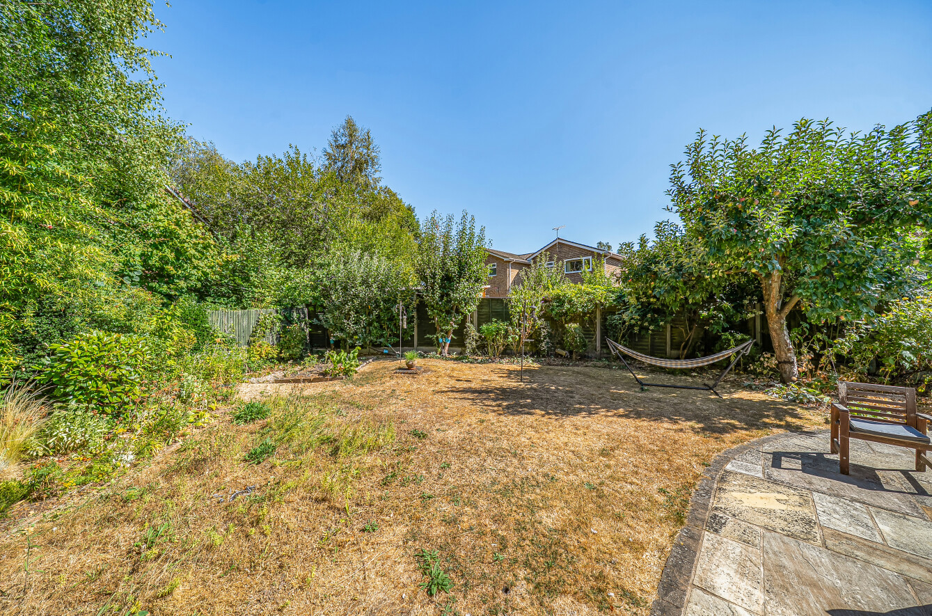 1496775 (19).jpg