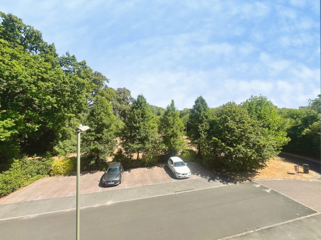 Property Image_11