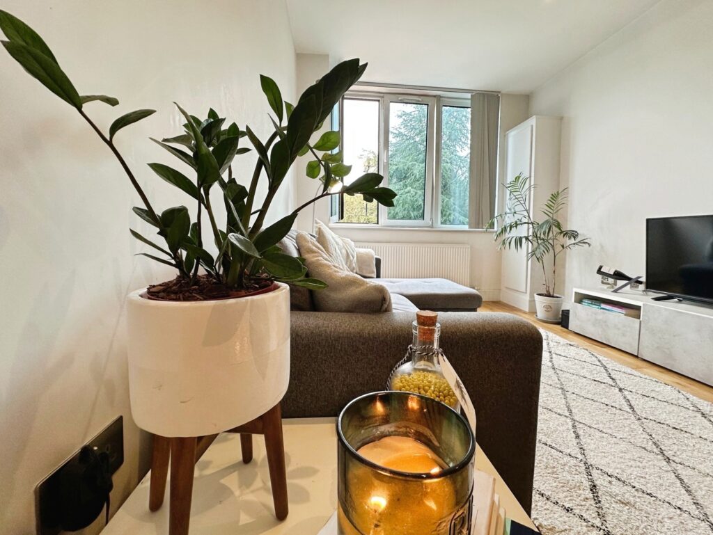 Property Image_9