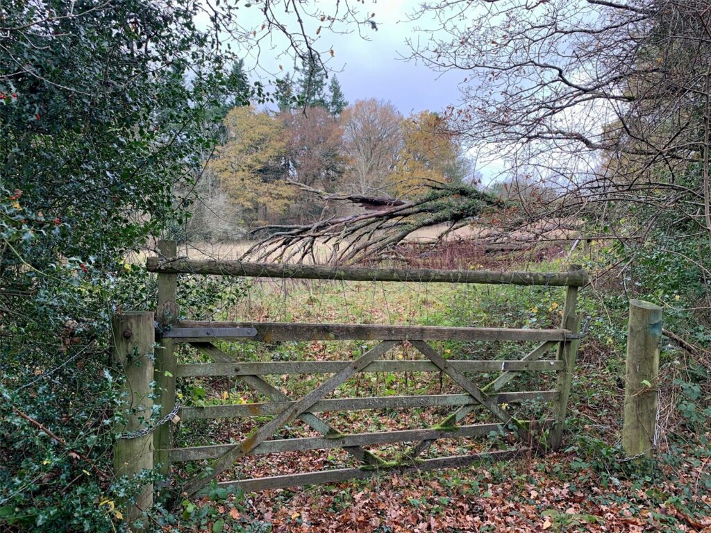 Property Image_2