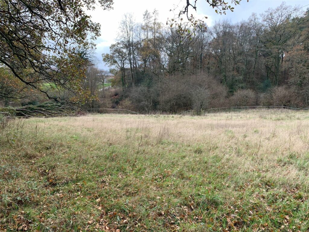 Property Image_4