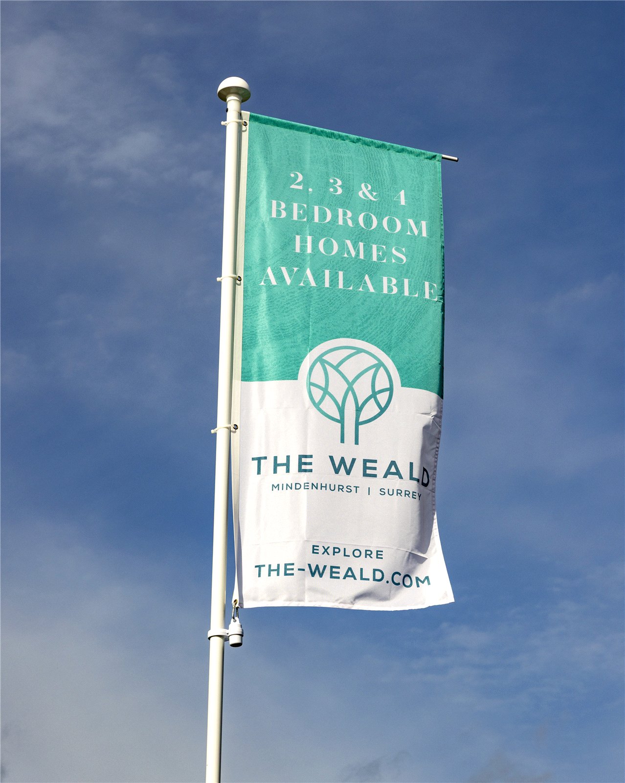 Picture No. 62