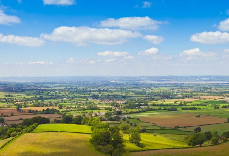 Estate Agents in Farnborough Bridges Estate Agents