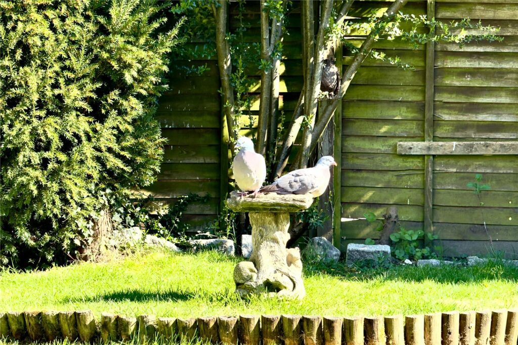 Property Image_20