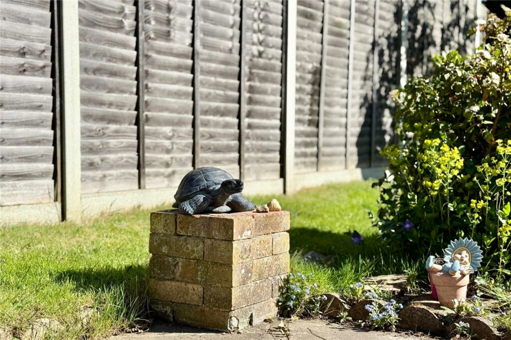 Property Image_17