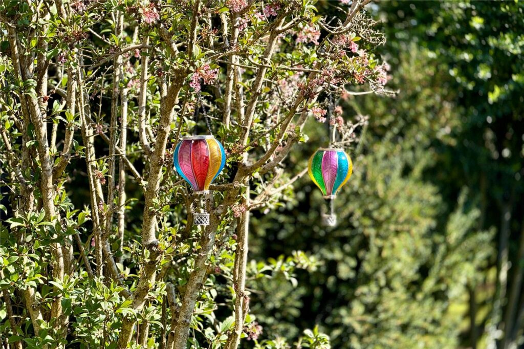 Property Image_15