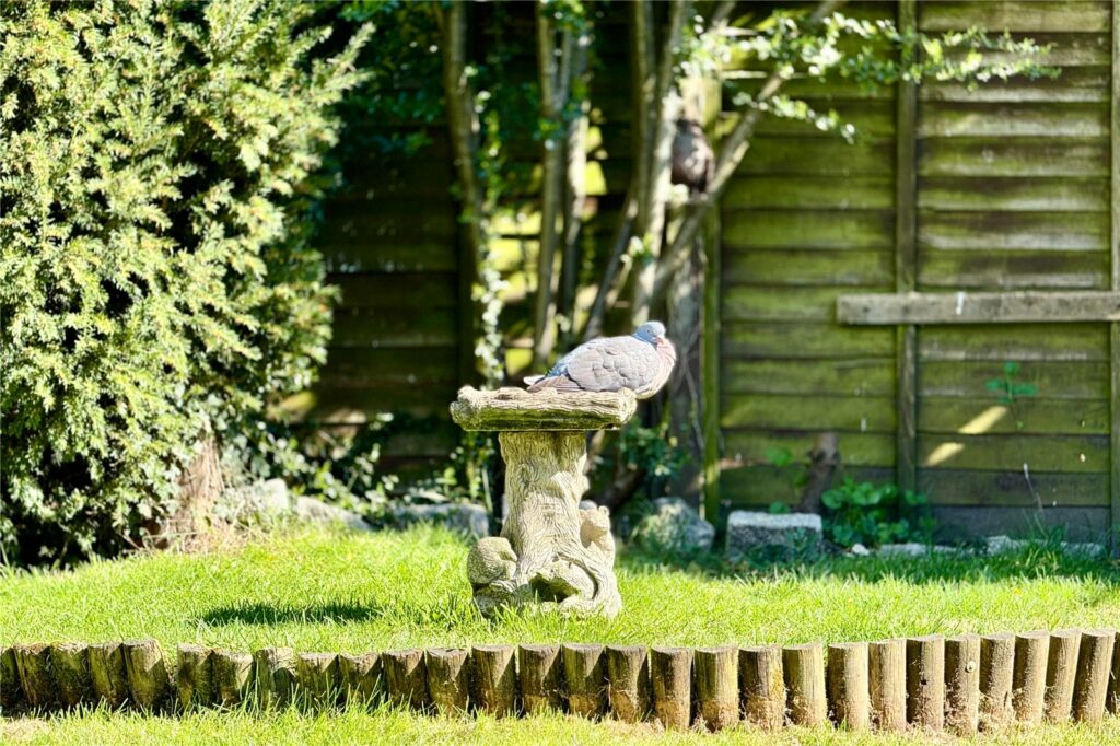 Property Image_21