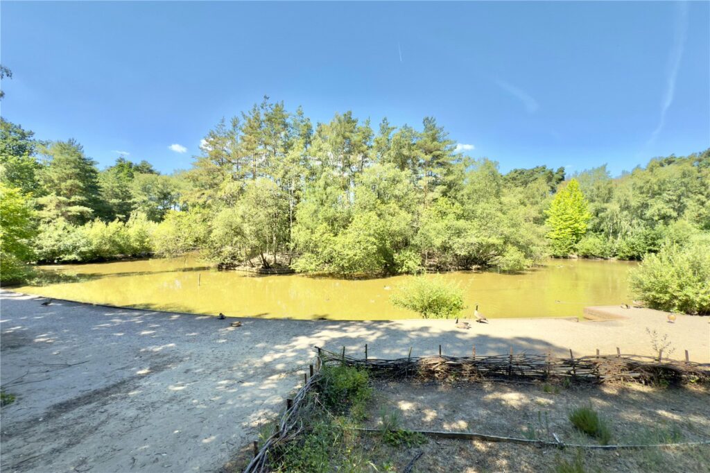 Property Image_19