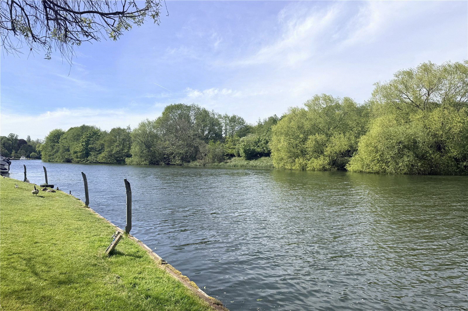 River Thames