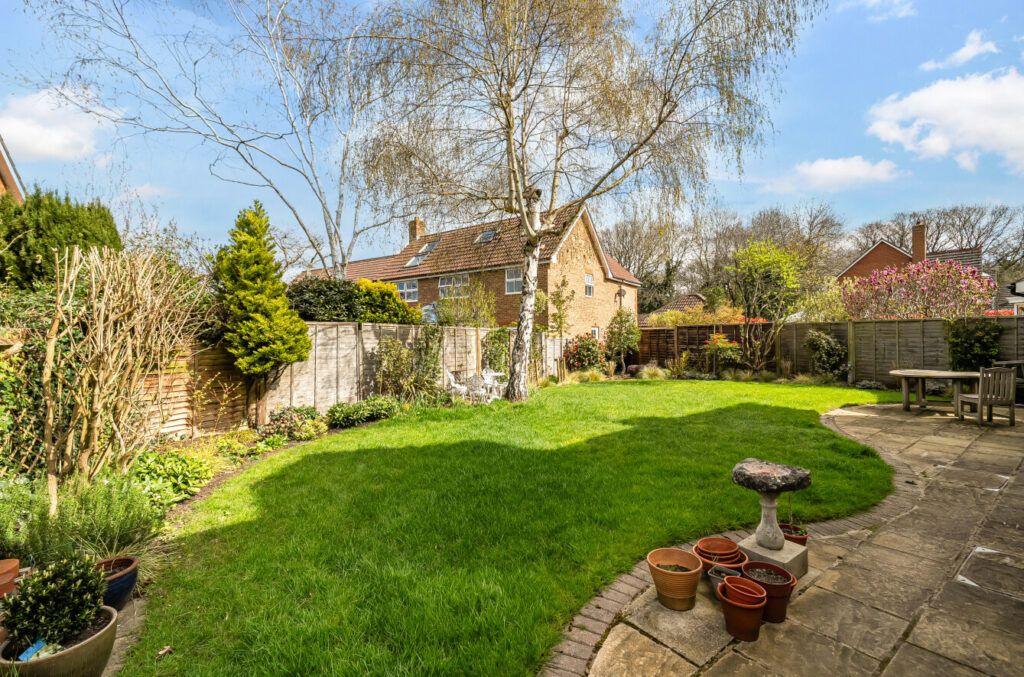 Property Image_5