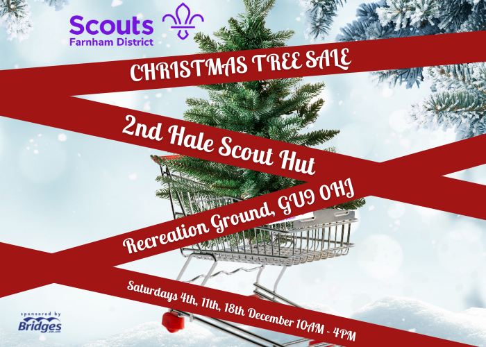 Bridges Support Farnham Scouts Christmas Tree Sale
