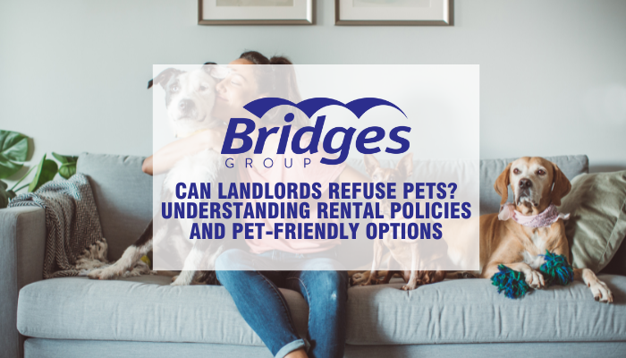 Can Landlords Refuse Pets? Understanding Rental Policies and Pet-Friendly Options
