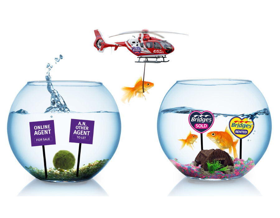 Switch Letting Agent with Bridges