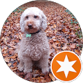 Molly Greenland Avatar